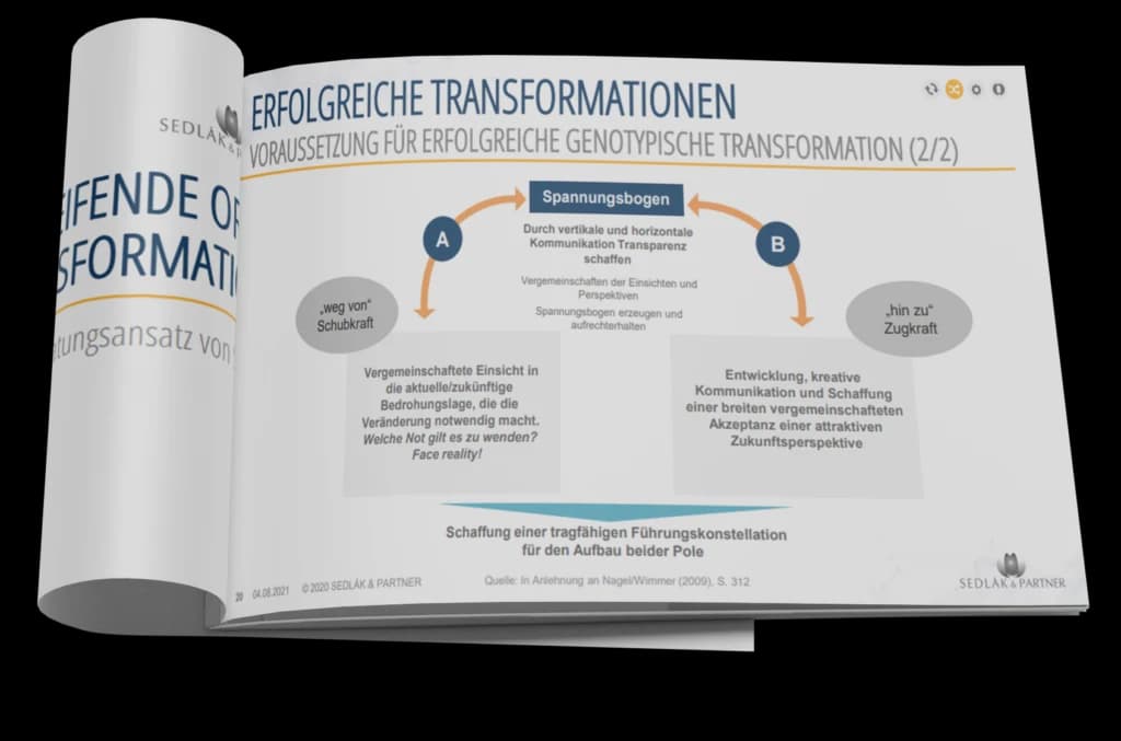 Abbildung zum Beitrag „Systemische Organisationsberatung“