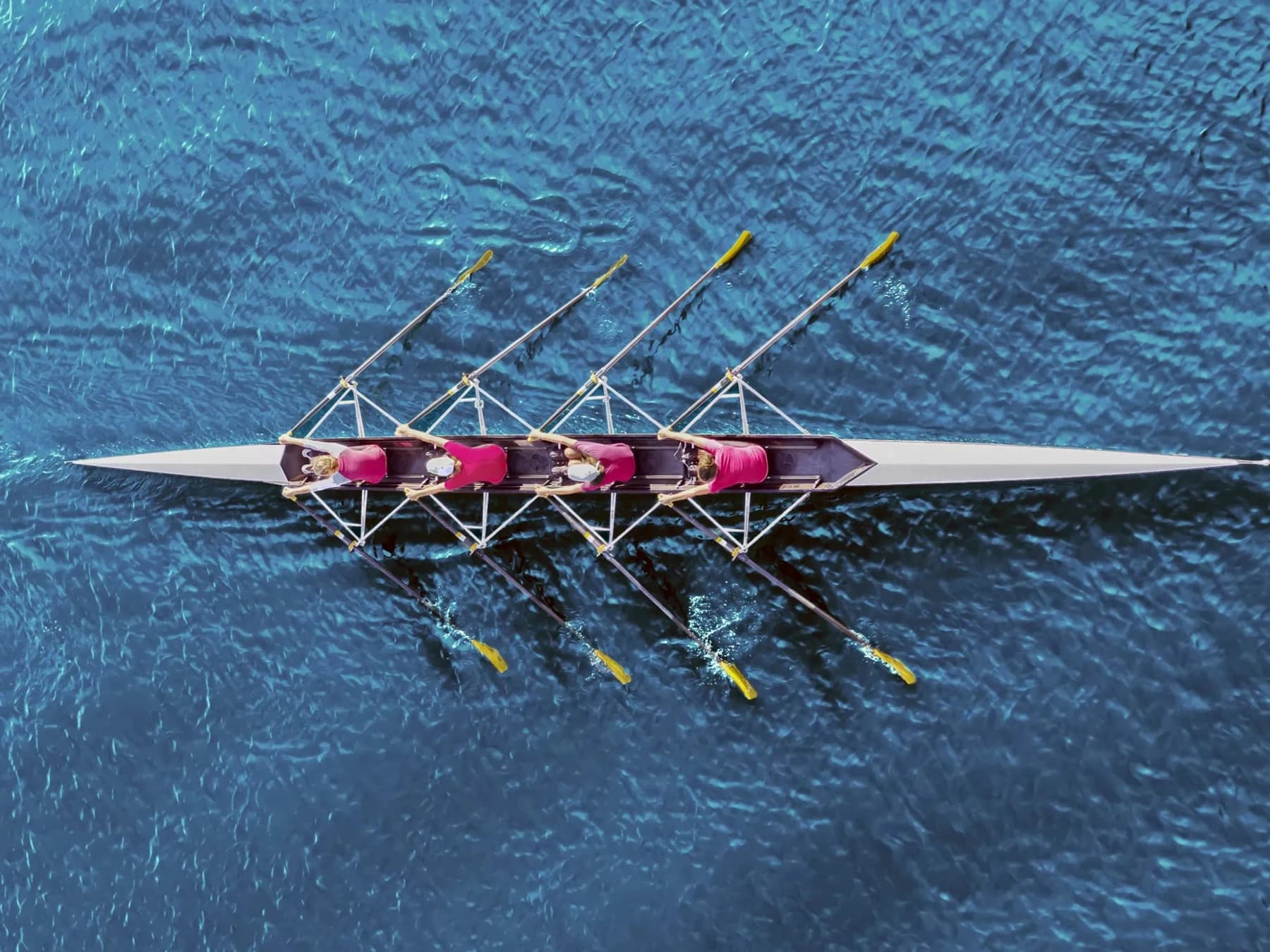 Abbildung zum Beitrag „Nachhaltigkeitsstrategien für Unternehmen – So gelingt der Wandel“