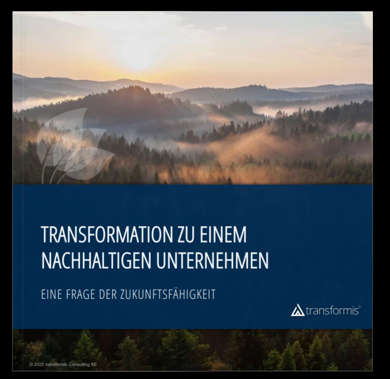 Abbildung zum Beitrag „Insights und Downloads“