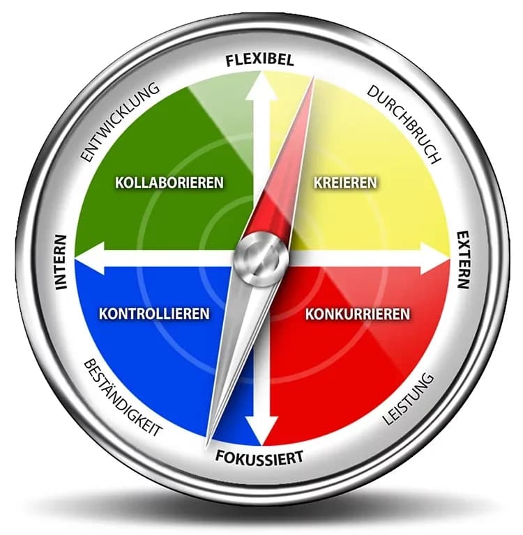 Systemischer Kulturkompass