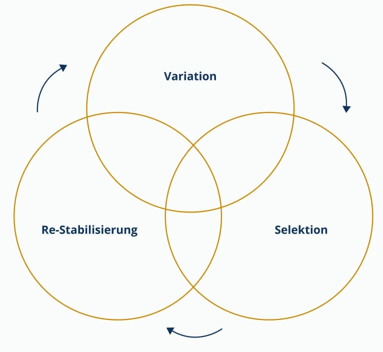 Abbildung zum Beitrag „Strategische Neuausrichtung und Rightsizing | transformis®“