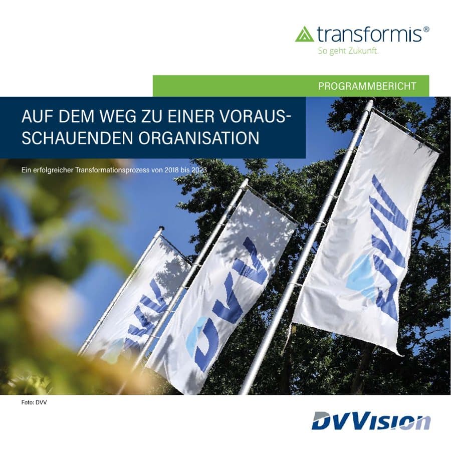 Titelseite des Programmberichts DVVision