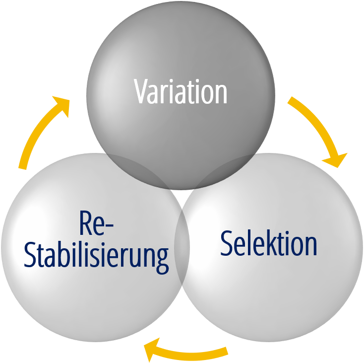 Variation