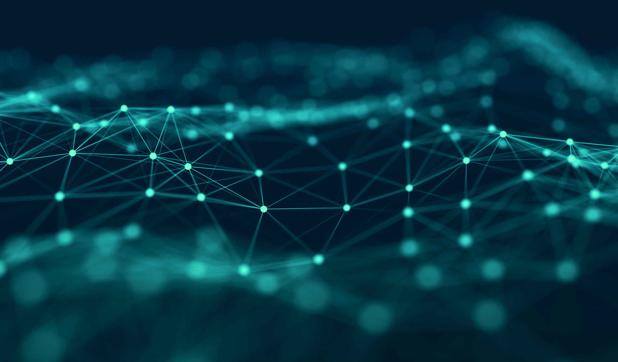 Fünf Jahre EVOLUTION - E/D/E