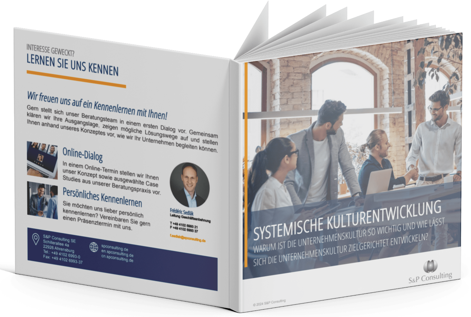 Kulturentwicklung Paper