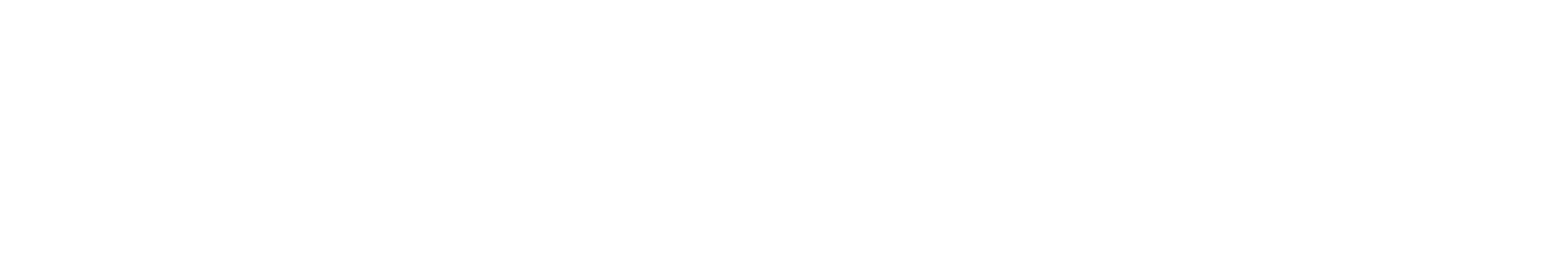 transformis Consulting SE